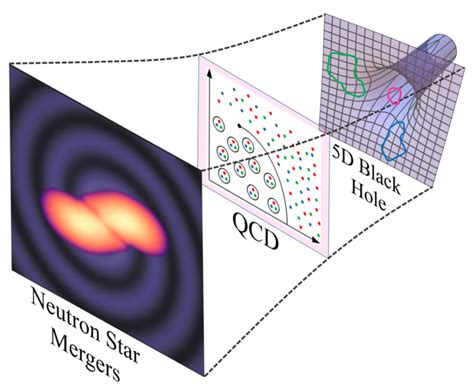 are black holes 5-dimensional|are black holes 3 dimensional.